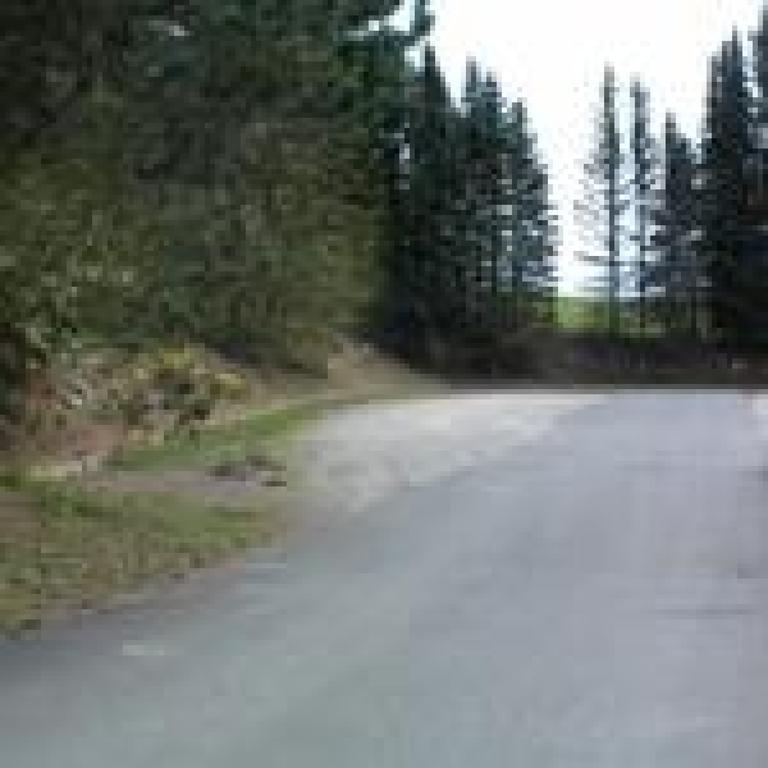 Buhberg Baude Hotel Bad Lauterberg Buitenkant foto